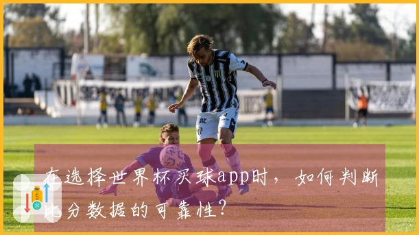 在选择世界杯买球app时，如何判断比分数据的可靠性？