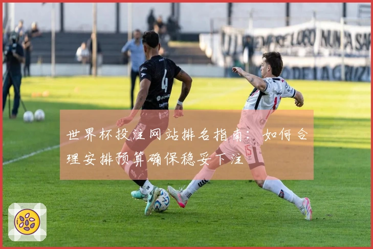 世界杯投注网站排名指南：如何合理安排预算确保稳妥下注