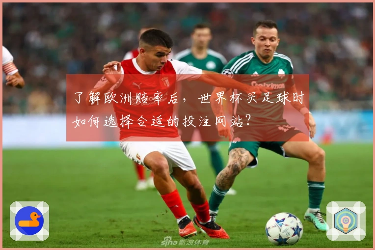 了解欧洲赔率后，世界杯买足球时如何选择合适的投注网站？