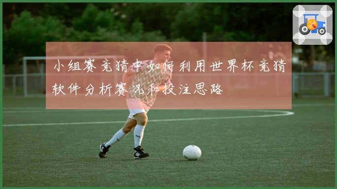 小组赛竞猜中如何利用世界杯竞猜软件分析赛况和投注思路