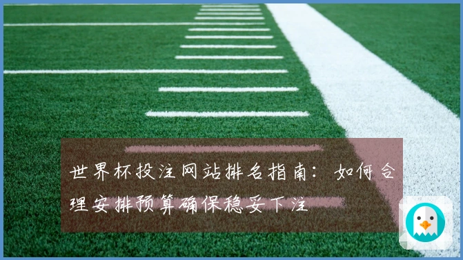 世界杯投注网站排名指南：如何合理安排预算确保稳妥下注