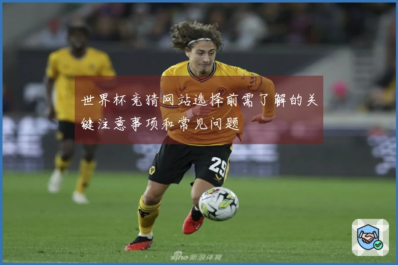 世界杯竞猜网站选择前需了解的关键注意事项和常见问题